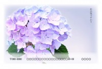 紫陽花のカード