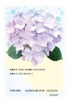 紫陽花のカード２