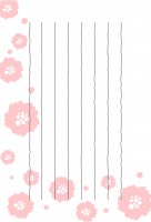 ハガキ　桜の花（…