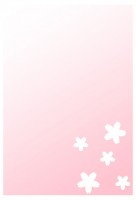 ハガキ　桜（ピン…