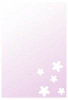 ハガキ　桜（紫）