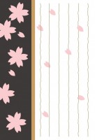 ハガキ　桜の花の…