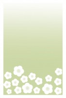 ハガキ　白梅の花…